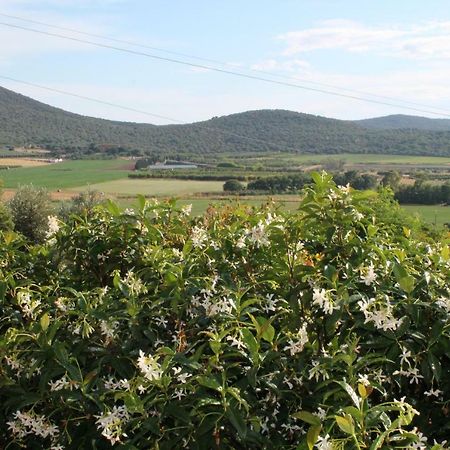 Agriturismo Podere Montenero Alberese Eksteriør bilde